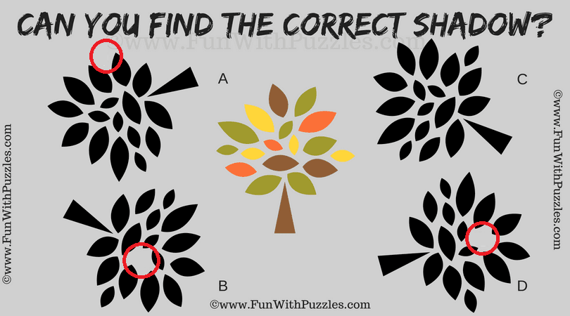 Shadow Picture Riddle: Brain Teaser for Adults with Answer