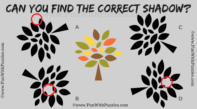 Shadow Picture Riddle: Brain Teaser for Adults-Answer