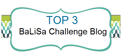 Top 3 04/2016 bei BaLiSa Challenge Blog
