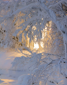 It's Written on the Wall: Do you Have Christmas Snow Yet? If Not Enjoy