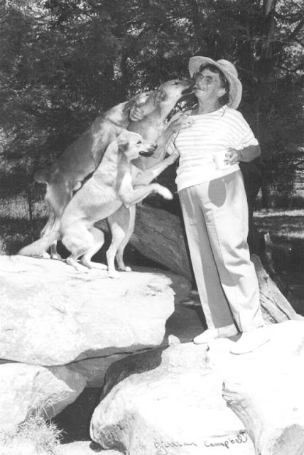 Dingo Lady: A Brief Guide to Characteristics, Development and