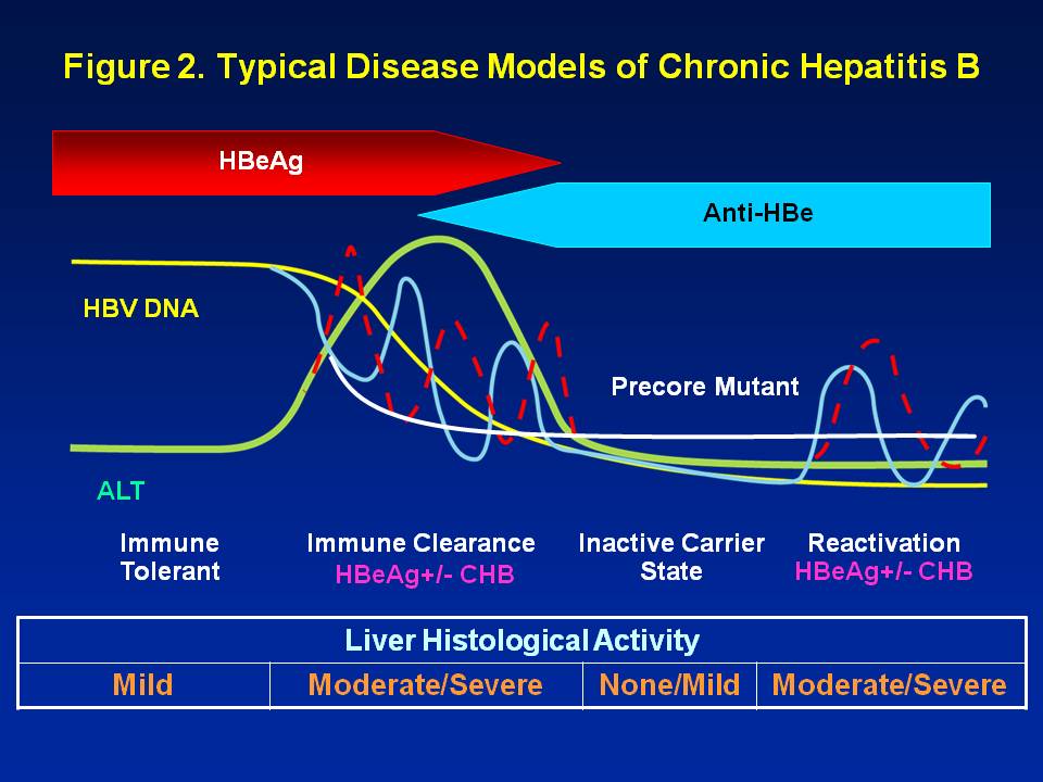 RetroMedTech อาการของไวรัสตับอักเสบบีเรื้อรัง (Symptoms of Chronic