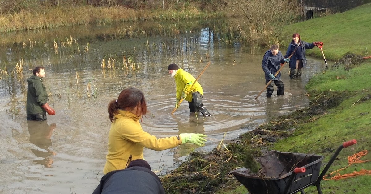 Focus on the Ladden-Frome area: Volunteers clear Village Pond