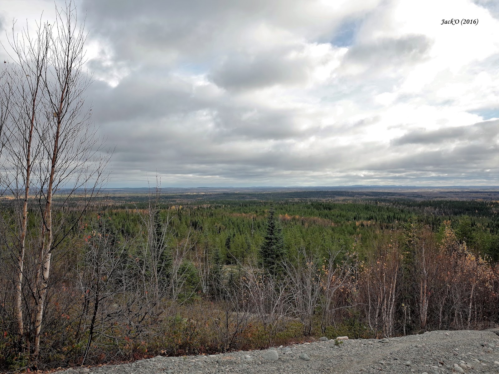 L'OEIL AU VERT AUTHIERNORD (ABITIBIOUEST). 22 oct. 2016