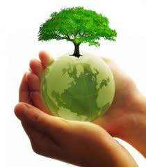 Keeping Our Earth Green