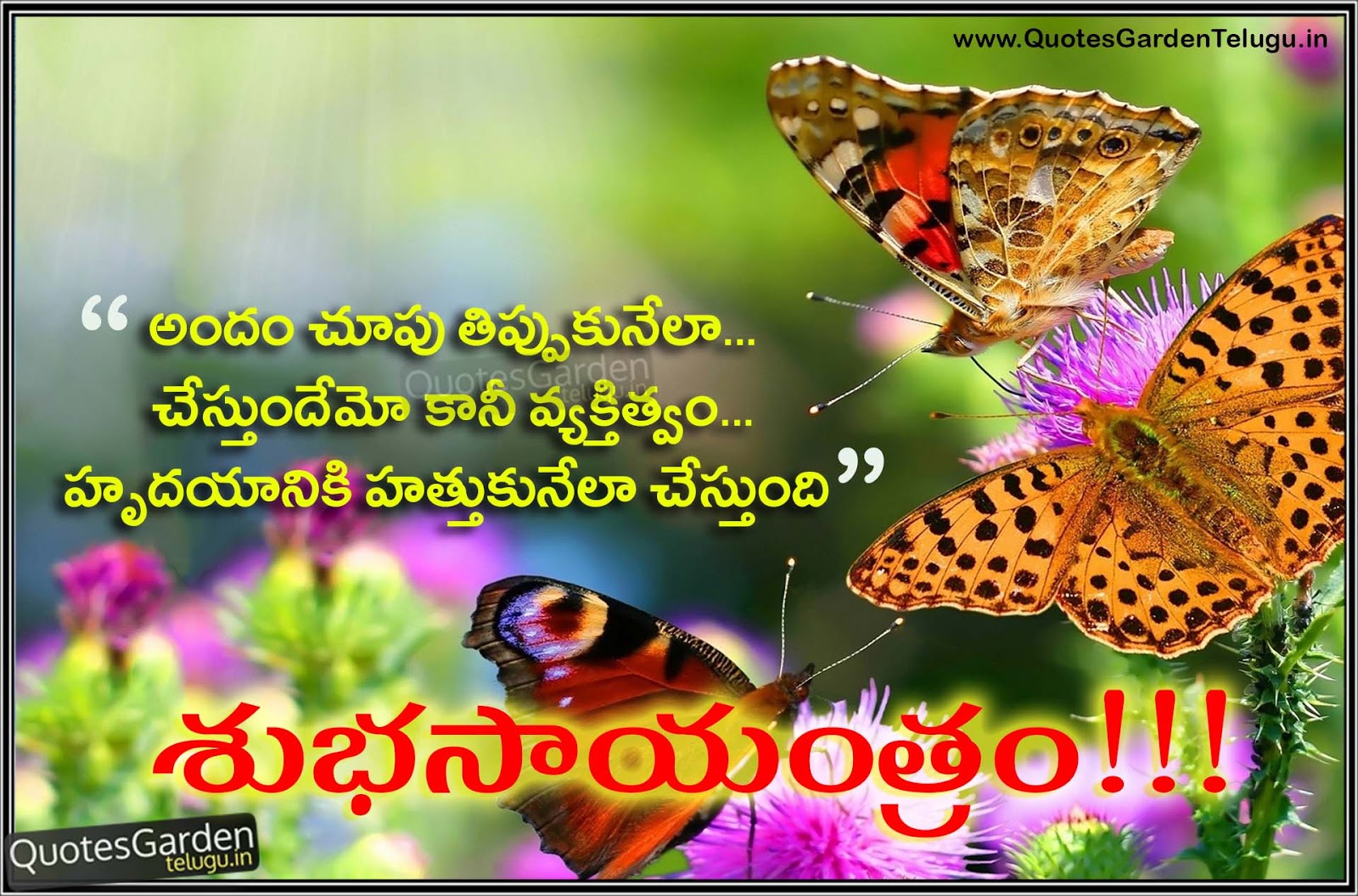 Nice Good evening Telugu quotes | QUOTES GARDEN TELUGU | Telugu ...