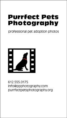 Purrfect Pets Logo and Business Card