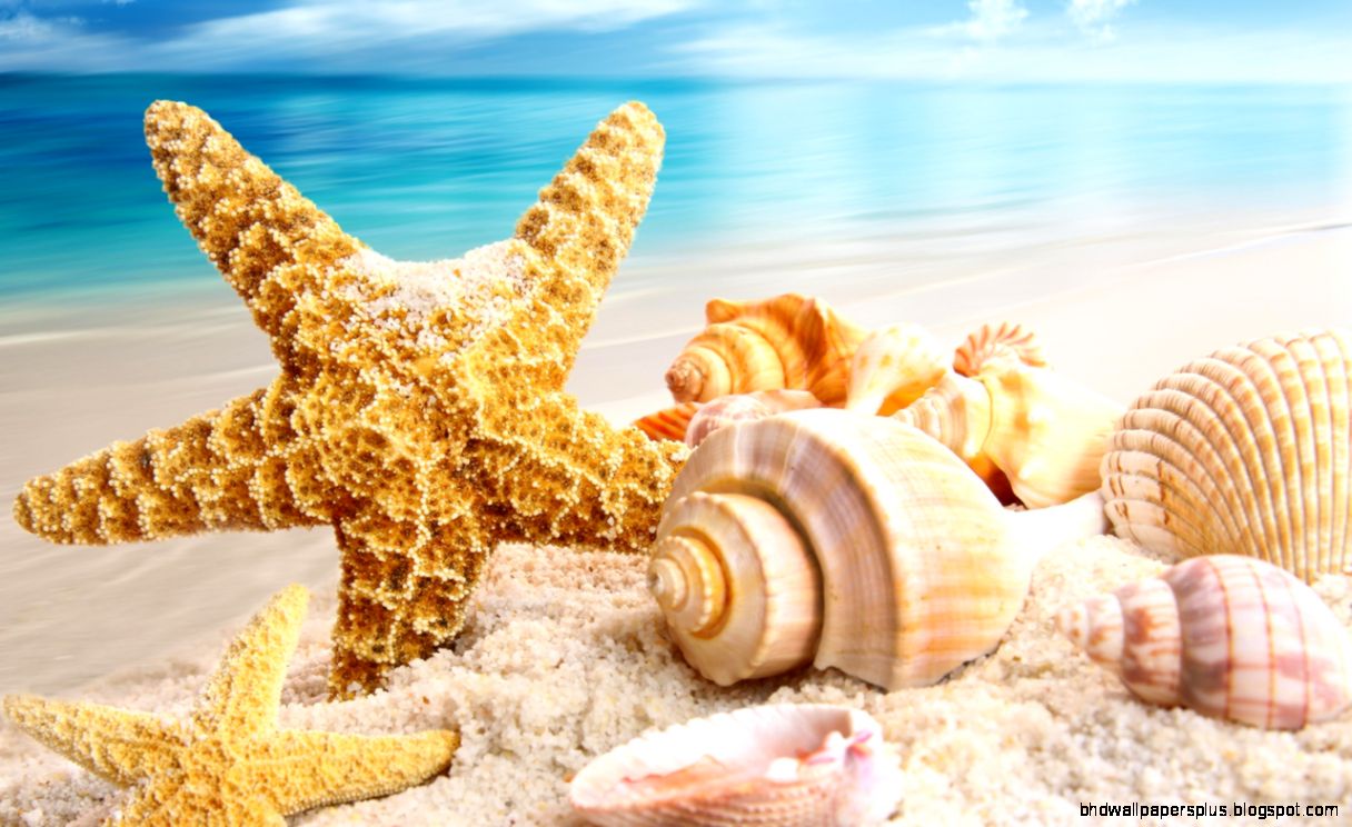 Summer Desktop HD Wallpaper 2016 – Coddu Code Do