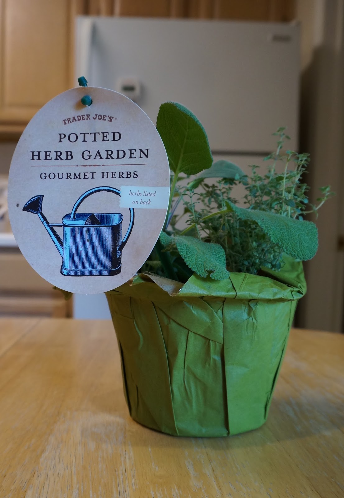 Exploring Trader Joe's Trader Joe's Potted Herb Garden