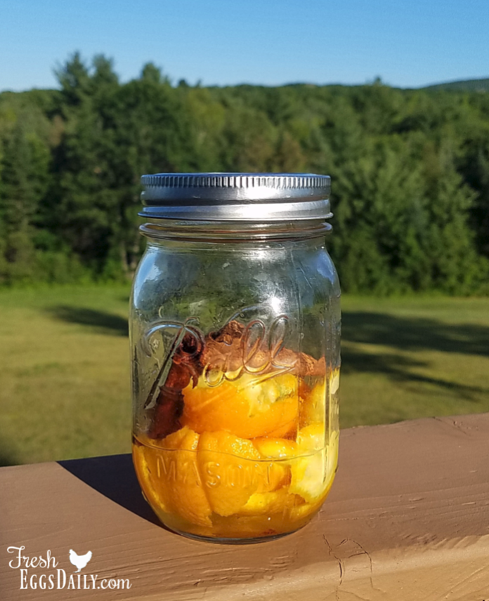 Orange Peel Vinegar Coop Cleaner Fresh Eggs Daily® with Lisa Steele