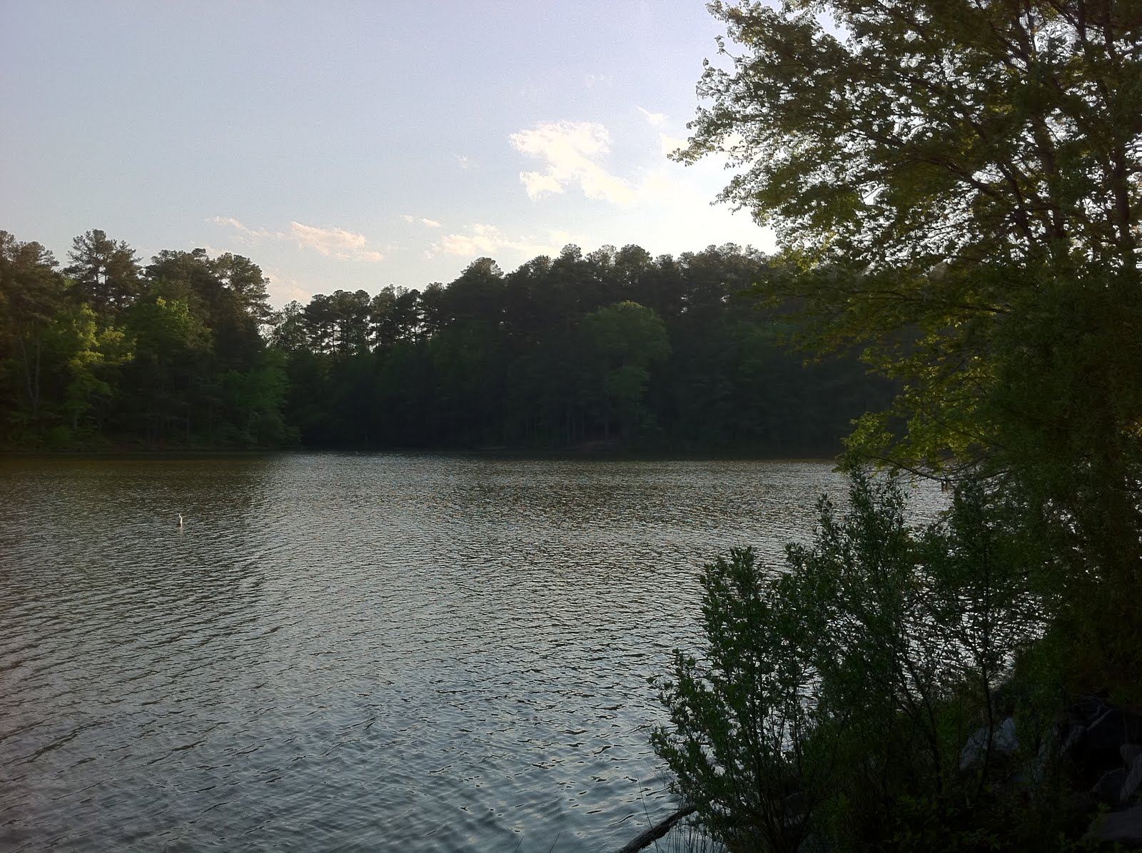 Wiggins Environmental Ethics Out and About S 2011 Apex Community Park