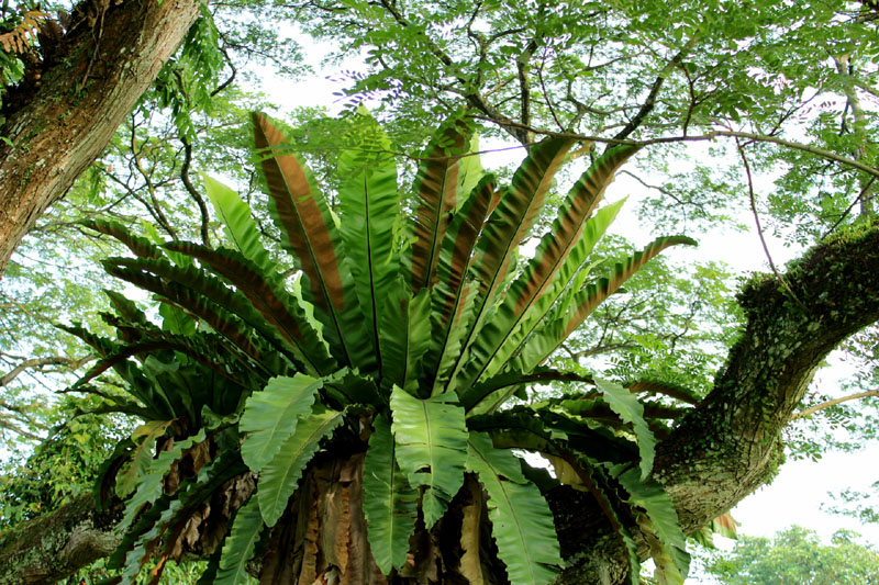 Science Form 2 Science Is Awesome Ecosystem Interection Between