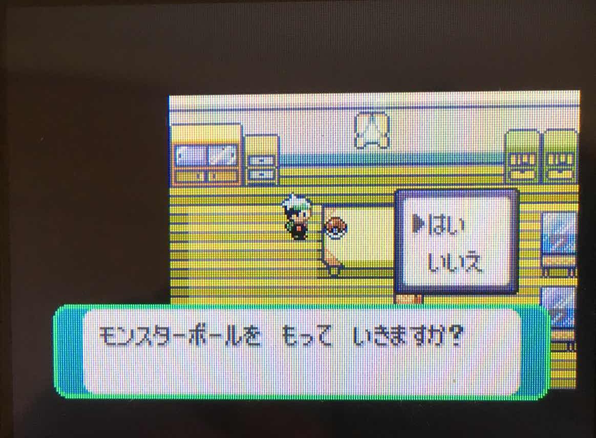 エメループでダンバル捕まえてみた 串屋太郎
