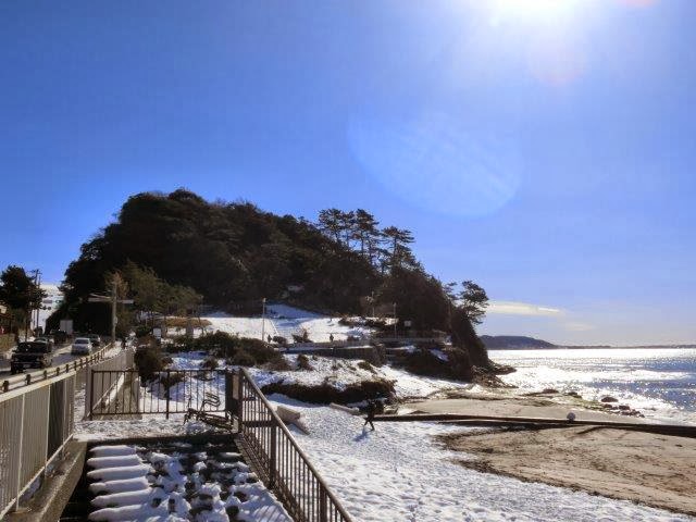 �����̐�i�F