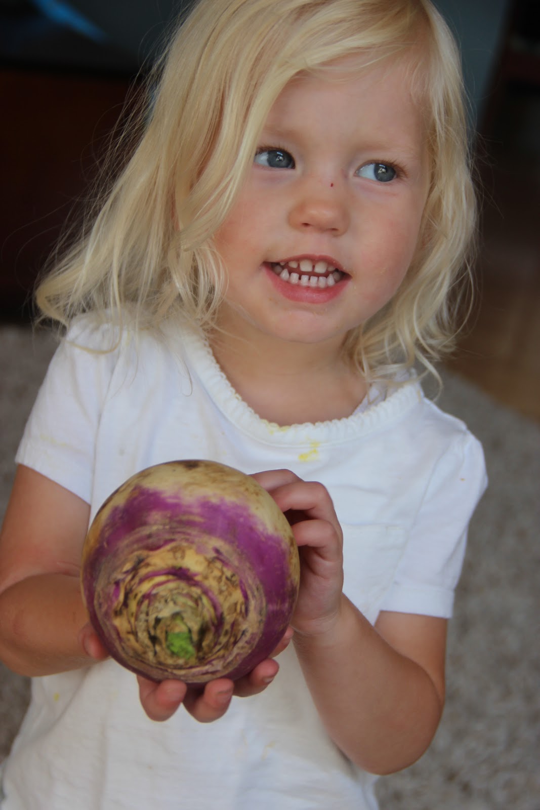 The Johnson Journey 17 weeks Turnip