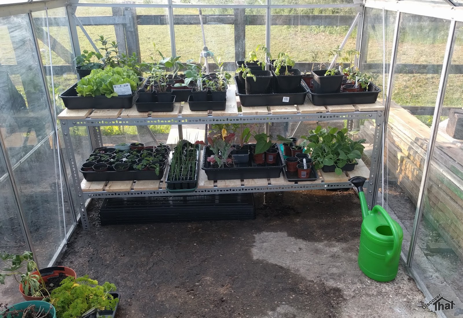 DiscoverThat Journal Greenhouse staging