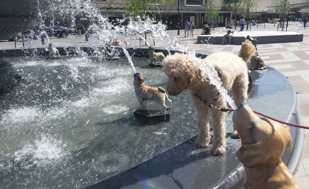 Toronto Grand Prix Tourist A Toronto Blog Dog Fountain in Berczy