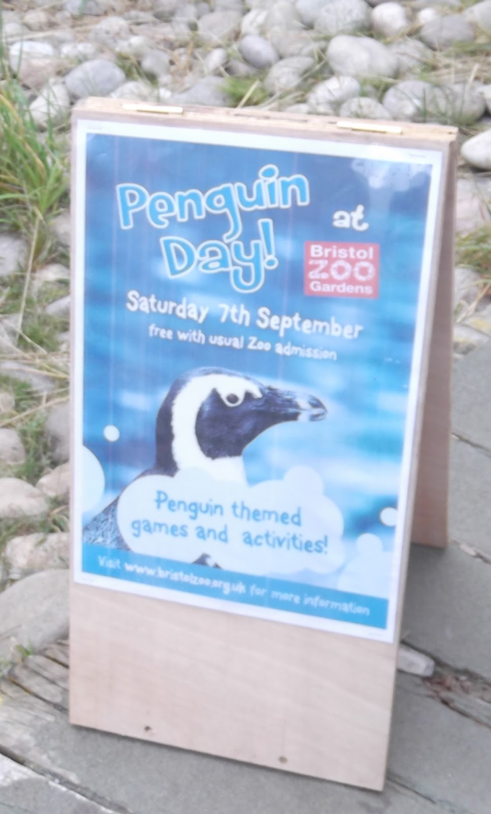 Robben Island Penguin Tracks