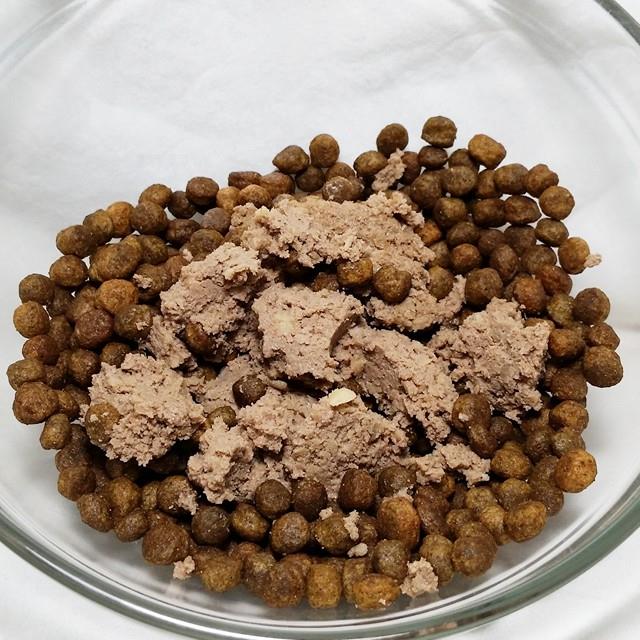 Nutro Dry + Wet Dog Food 30 day challenge from Chewy ChewyInfluencer