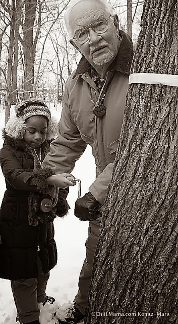 ChiIL Mama : Maple Syrup Fests Near Chicago #EcoFriendly #Nature