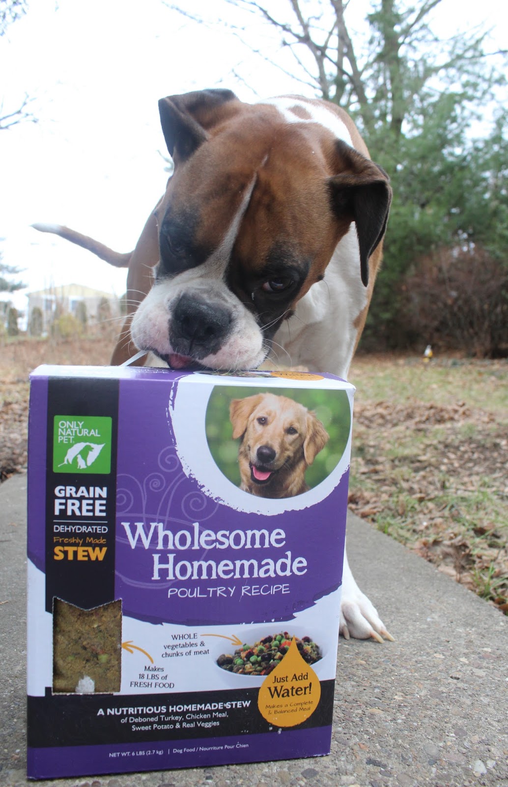 Dog Madness Freshly Nutritious Balanced & Complete Wholesome Homemade