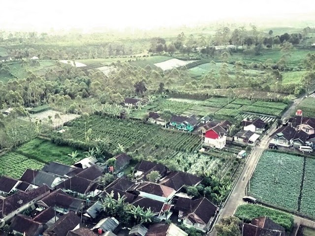 Kampung Agro Wisata Cibuluh, Destinasi Wisata Edukasi di Pangalengan