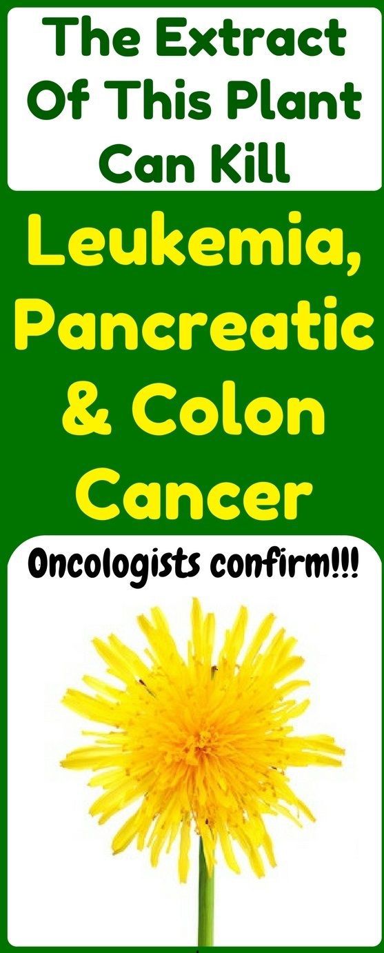 The Juice Of This Herb Can Kill Cancerous Cells In 48 Hours! Health