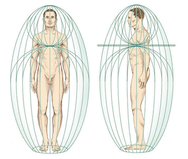 A Complete Guide to the Human Energy Fields and Etheric Bodies Assemblage-point-human-biofield