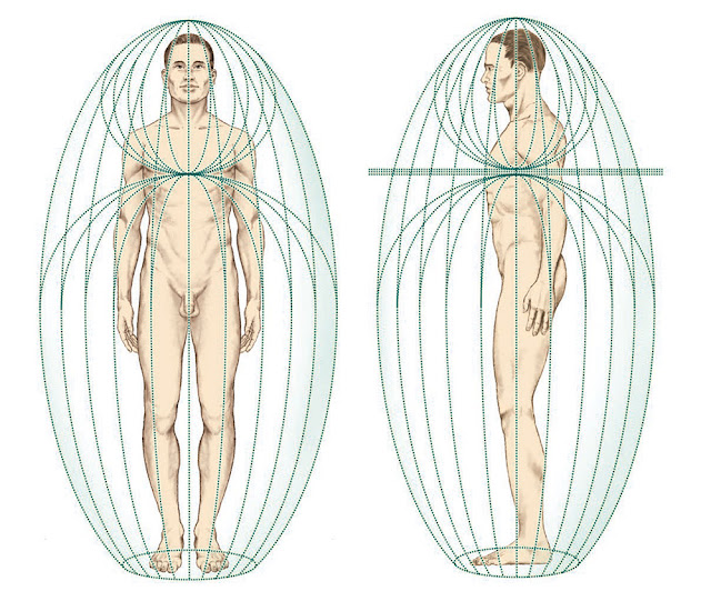 A Complete Guide to the Human Energy Fields and Etheric Bodies Assemblage-point-human-biofield