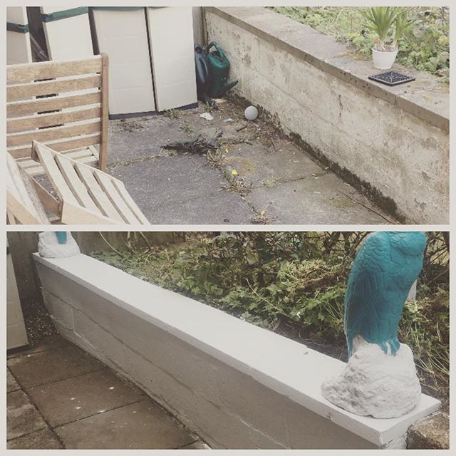 Project House Garden Wall Clean Up