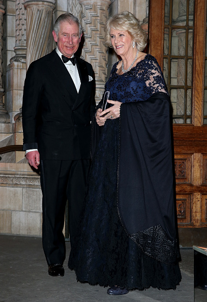 Royal Family Around the World: The Prince Of Wales And Duchess Of ...