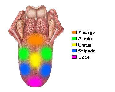 lingua franca sweaters