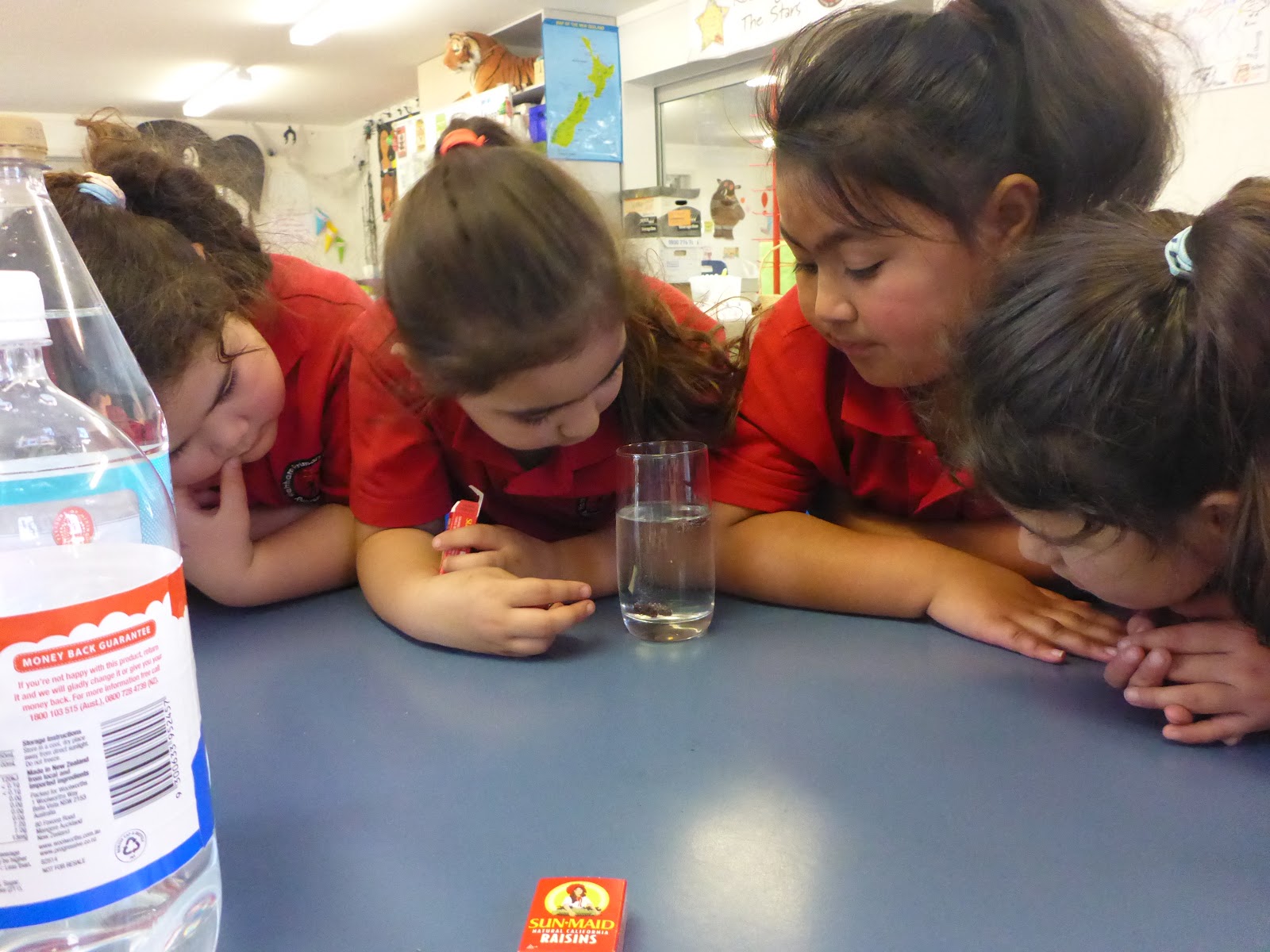 JJ Bergmann Teacher Inquiry