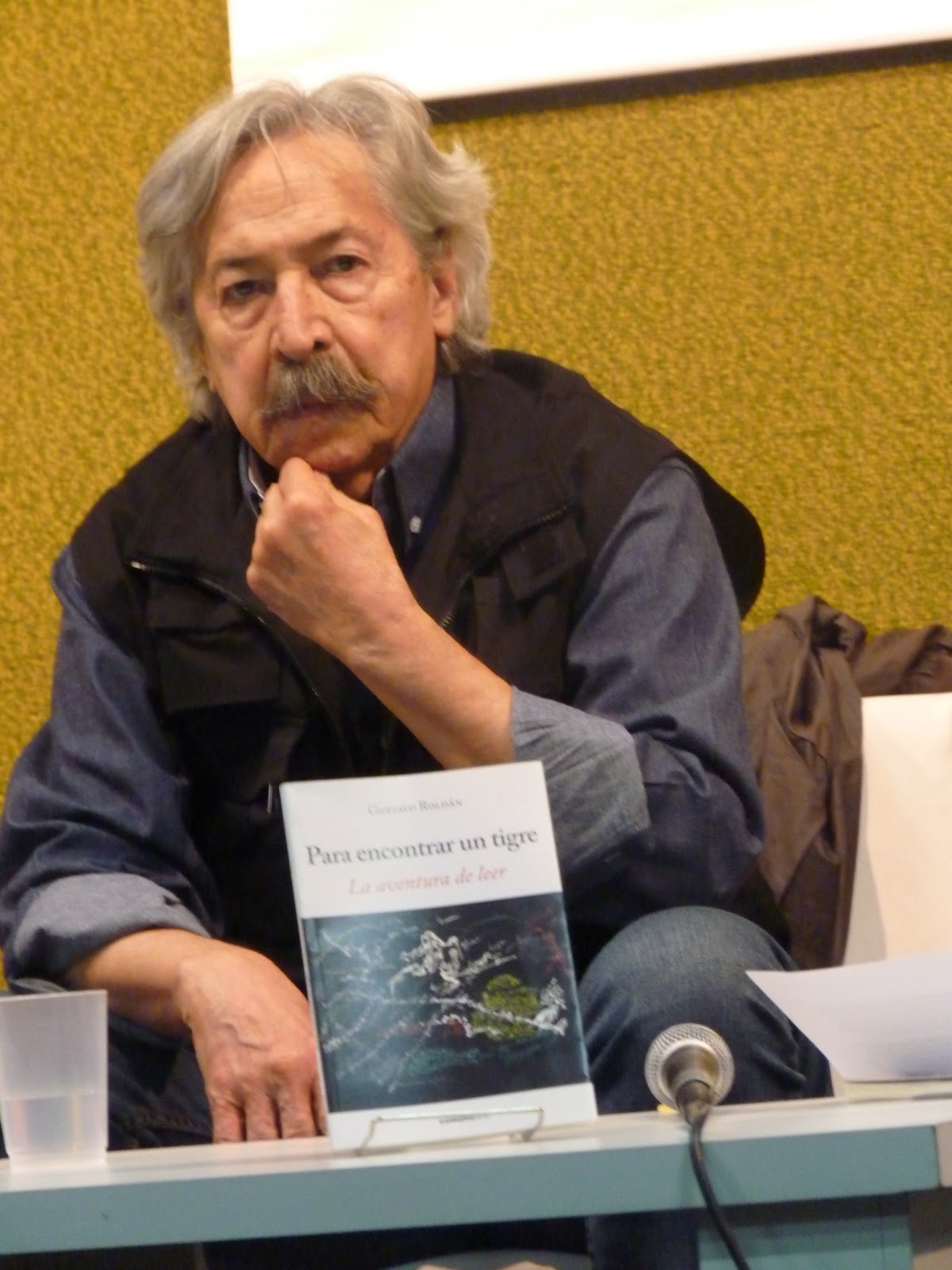 Las C: Entrevista a Gustavo Roldán