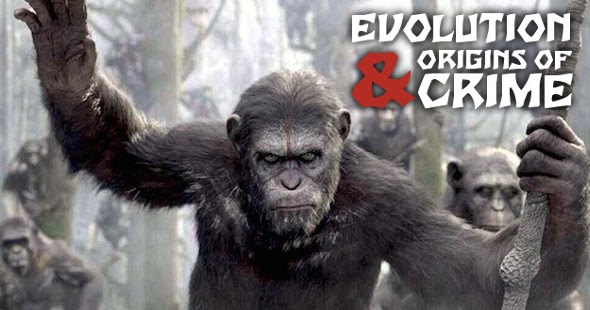 Uxoricidio Seconda Parte Redjack