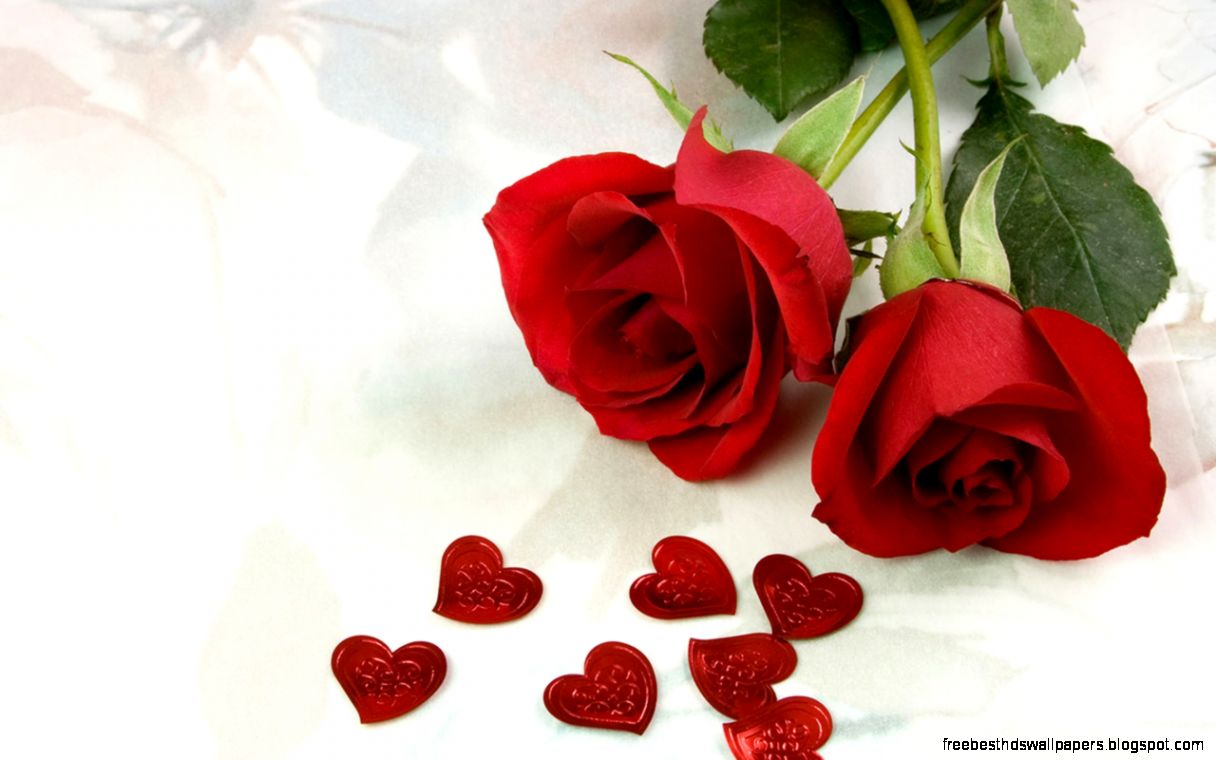 Rose Flower Wallpaper 1189 Wallpaper