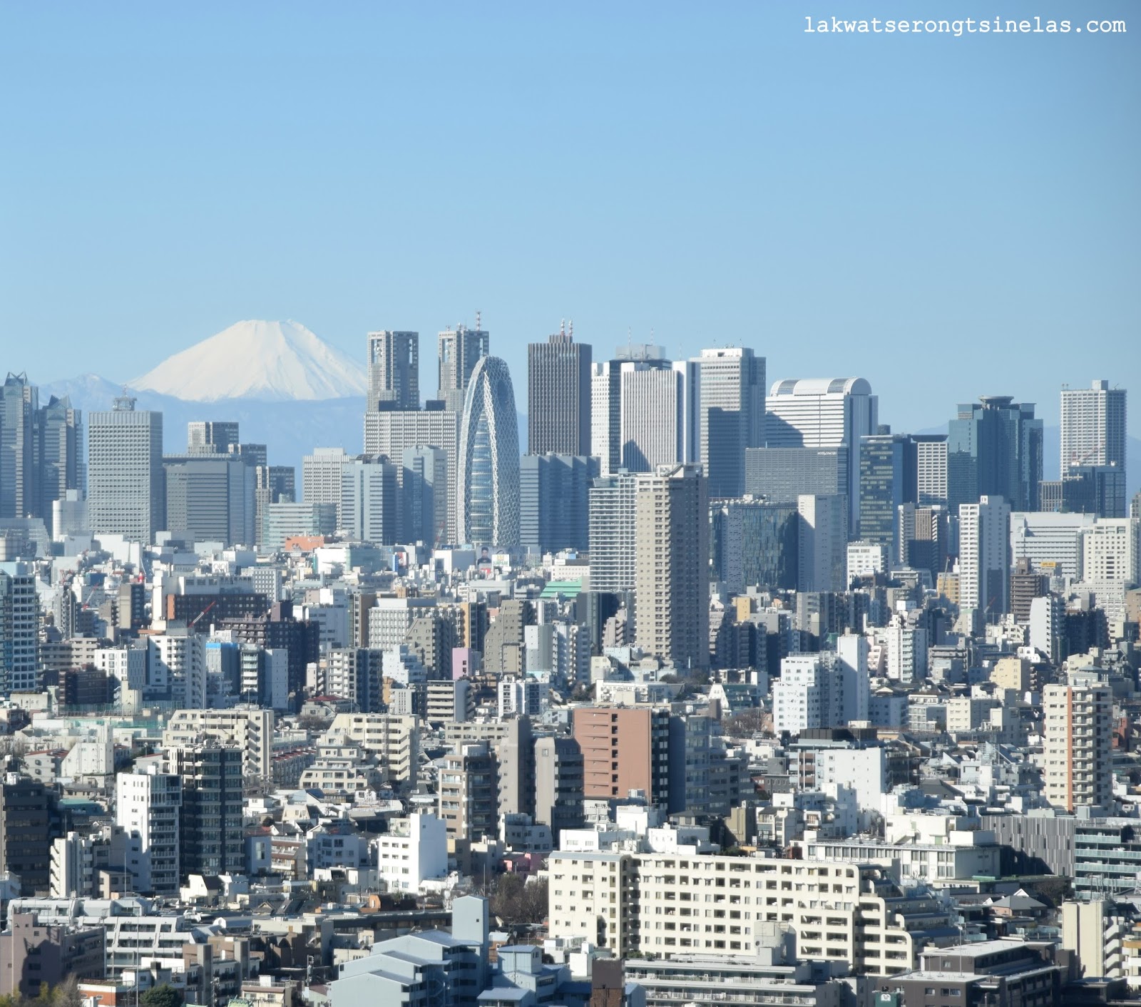 MT. FUJI VANTAGE POINTS THRU THE TOKYO METRO SUBWAY