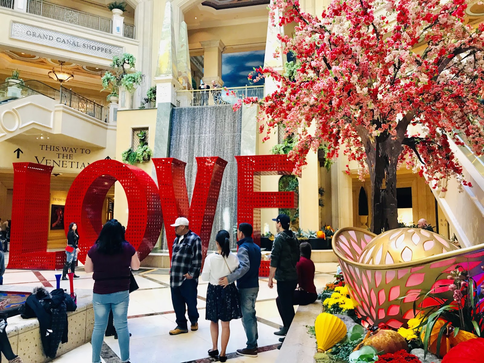 Las Vegas Spend Valentine's at the Hotel MAPLE LEOPARD