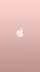 gold rose iphone wallpapers pink backgrounds tech pastel texture adams summer