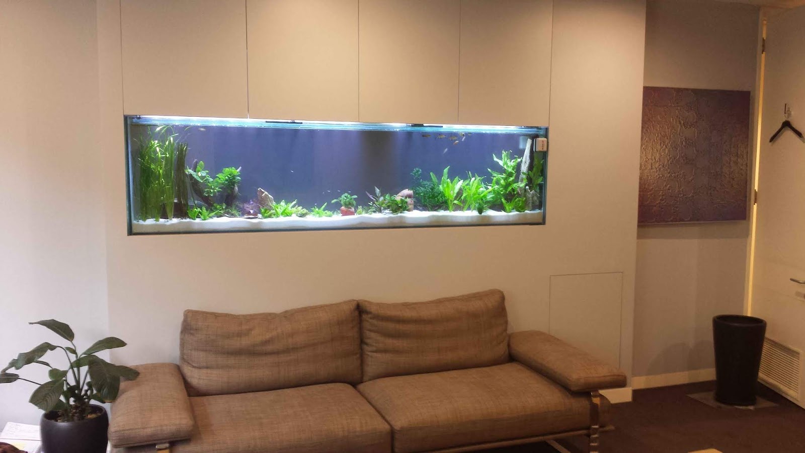 46 Desain Aquarium Cantik dan Unik Antimainstream Rumahku Unik