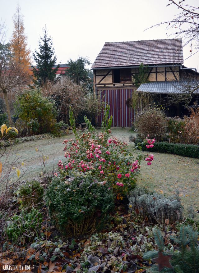 Hof 9 Garten im November und nur noch 4 Wochen