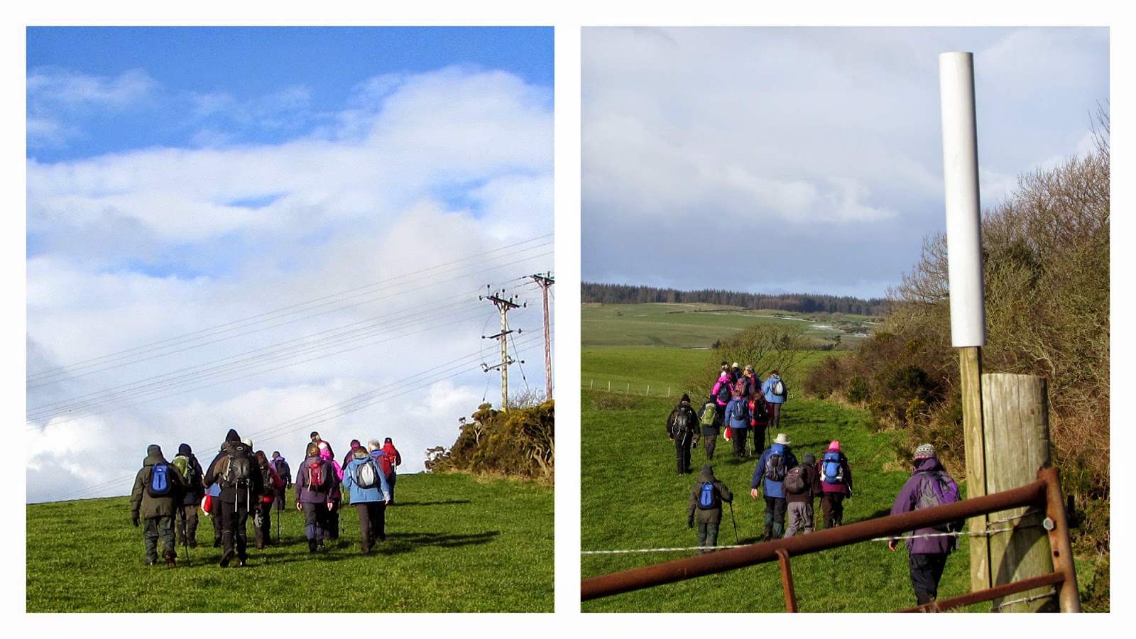 The Glebe Blog Wigtownshire RamblersSt Helena IslandGlenluce Abbey January 2015