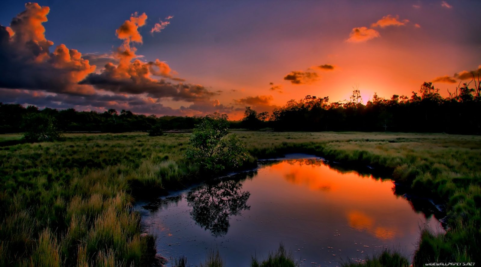 Wallpaper for Computer Nature 1920X1080