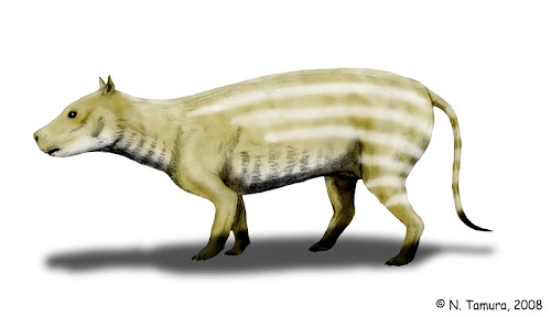 Artyodactila prehistorica Merycoidodon