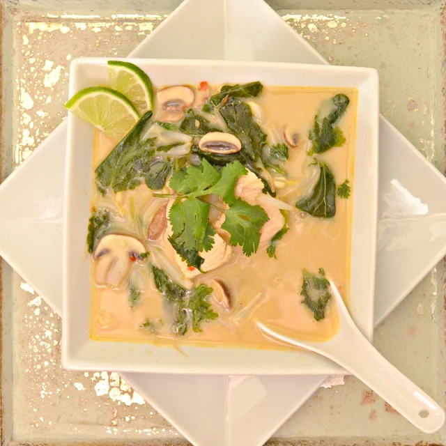 Perfect Fall Soup Recipe Roundup Thai Chicken Coconut Soup