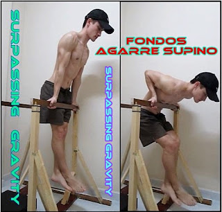 Rutina de Fondos