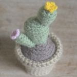 PATRON CACTUS AMIGURUMI 24697