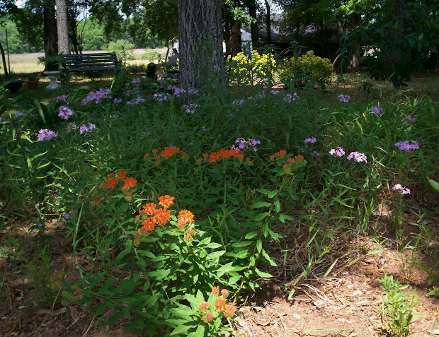 xeriscape gardening in georgia