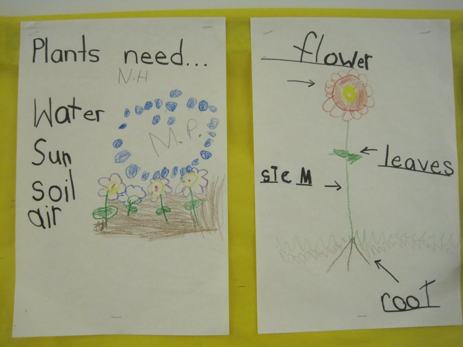 News from 201: Plant and Seed Activities