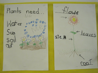 News from 201: Plant and Seed Activities